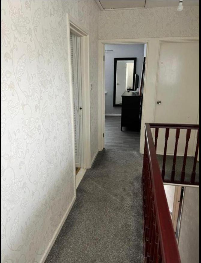 Macs Belfast Single Bedroom Luaran gambar